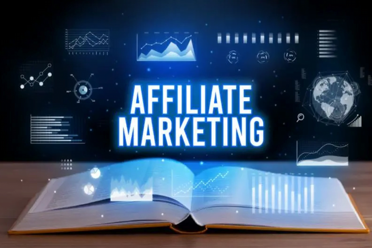 Affiliate marketing data insights.