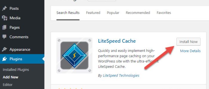 how-to-install-litespeed-cache-plugin-for-wordpress-01